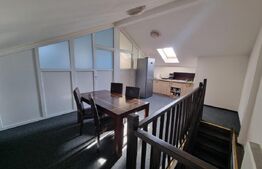 Casa individuala 9 camere, 300 mp suprafata utila, Ultracentral