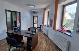 Casa individuala 9 camere, 300 mp suprafata utila, Ultracentral