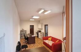 Casa individuala 9 camere, 300 mp suprafata utila, Ultracentral