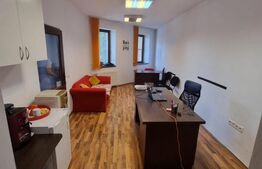 Casa individuala 9 camere, 300 mp suprafata utila, Ultracentral