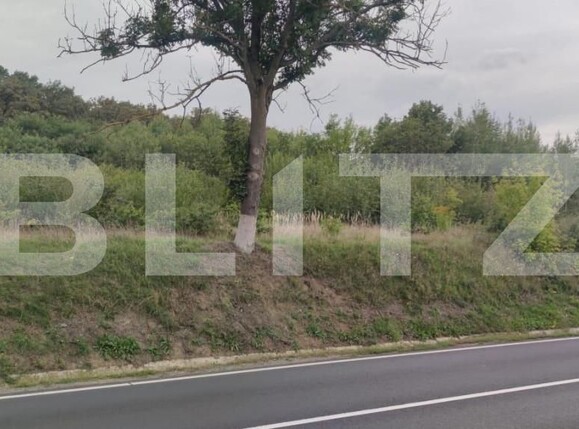 Teren de vânzare Exterior Est - 148009TV | BLITZ Sibiu | Poza1