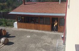 Casa+pensiune, 8 camere, cartier Selimbar 