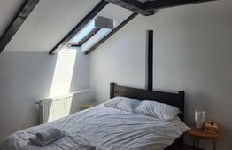 Pensiune moderna  2 margarete ,  statiunea Paltinis , Sibiu