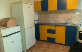 Mansarda, 68 mp utili, zona Vasile Aaron