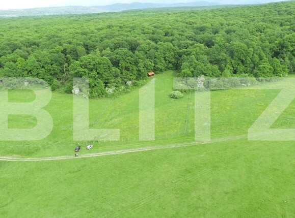 Teren de vânzare Cisnadie - 150470TV | BLITZ Sibiu | Poza6
