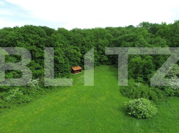 Teren de vânzare Cisnadie - 150470TV | BLITZ Sibiu | Poza10