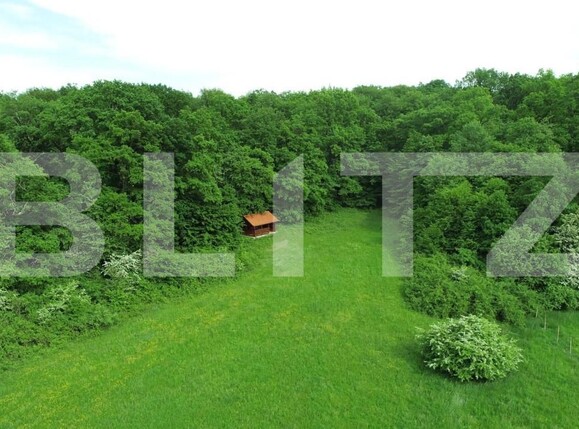 Teren de vânzare Cisnadie - 150470TV | BLITZ Sibiu | Poza5