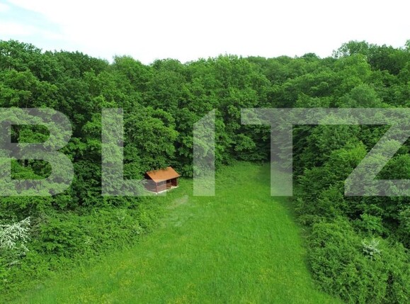 Teren de vânzare Cisnadie - 150470TV | BLITZ Sibiu | Poza7