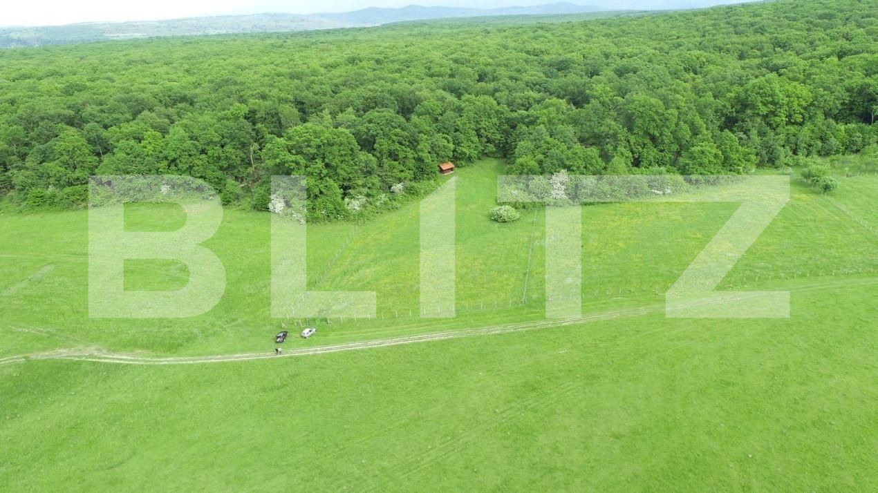 Teren de vânzare Cisnadie - 150470TV | BLITZ Sibiu | Poza6
