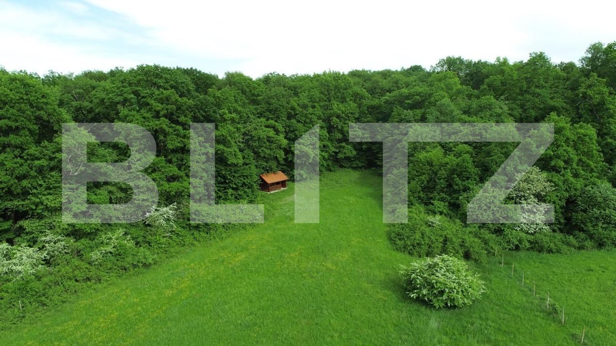 Teren de vânzare Cisnadie - 150470TV | BLITZ Sibiu | Poza10