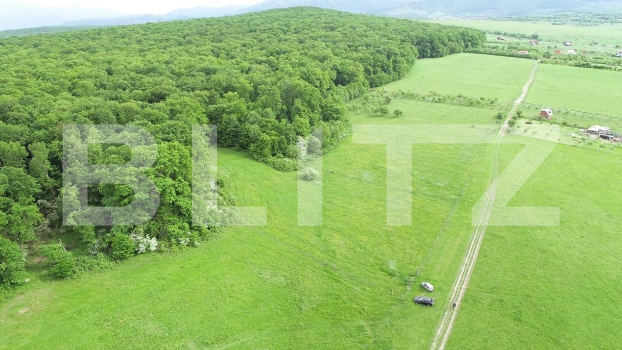 Teren de vânzare Cisnadie - 150470TV | BLITZ Sibiu | Poza2