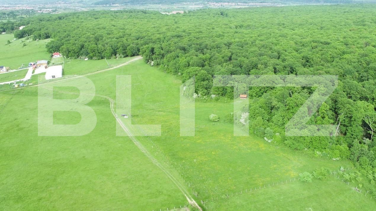 Teren de vânzare Cisnadie - 150470TV | BLITZ Sibiu | Poza4