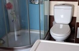 Casa 14 camere, 445 mp, teren, 1250 mp, Avrig