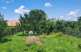 Casa 14 camere, 445 mp, teren, 1250 mp, Avrig