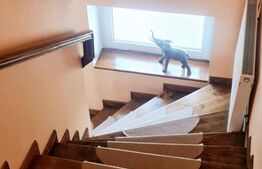 Casă individuală în Cisnădie, 233 mp utili, 800 mp curte