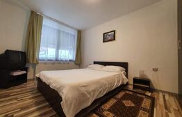 Vila cu cinci apartamente, afacere la cheie!