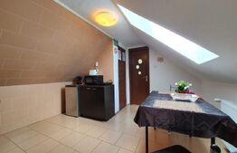 Vila cu cinci apartamente, afacere la cheie!