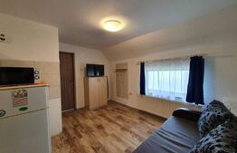 Vila cu cinci apartamente, afacere la cheie!