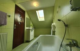 Vila cu cinci apartamente, afacere la cheie!