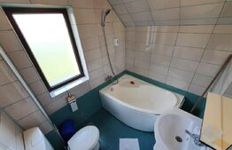 Vila cu cinci apartamente, afacere la cheie!