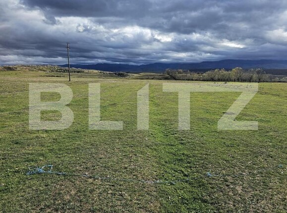 Teren de vânzare Avrig - 150487TV | BLITZ Sibiu | Poza2