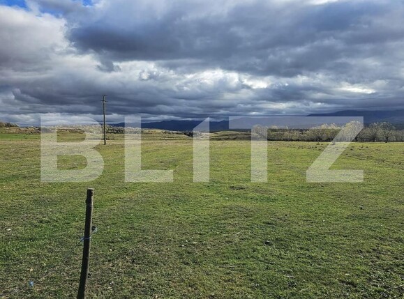 Teren de vânzare Avrig - 150487TV | BLITZ Sibiu | Poza3