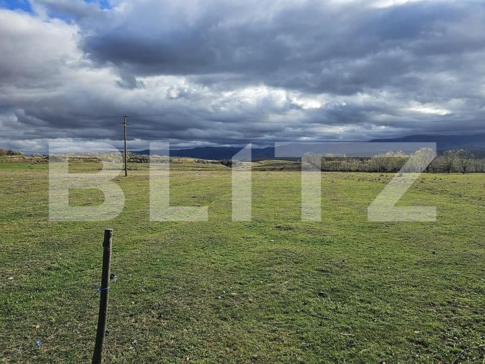 Teren de vânzare Avrig - 150487TV | BLITZ Sibiu | Poza3