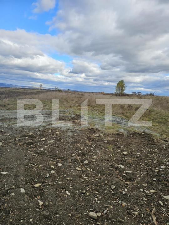 Teren de vânzare Avrig - 150488TV | BLITZ Sibiu | Poza2
