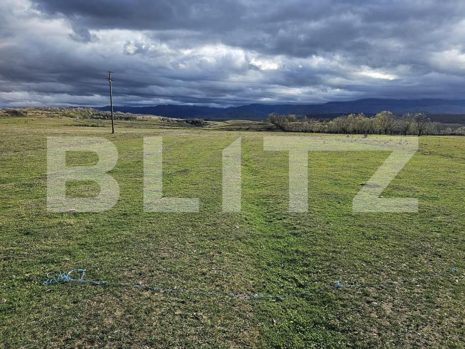 Teren de vânzare Avrig - 150489TV | BLITZ Sibiu | Poza4