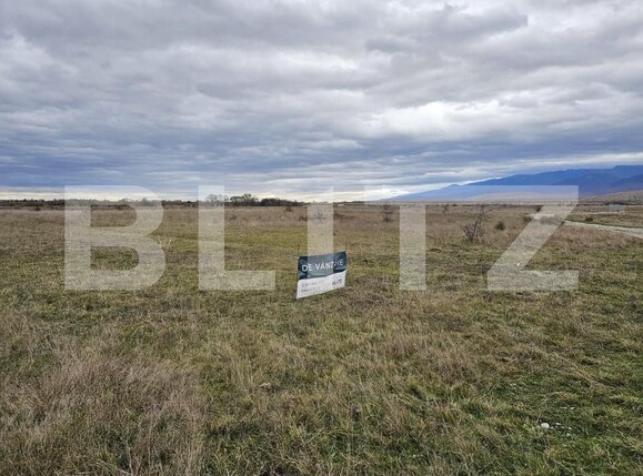 Teren de vânzare Avrig - 150490TV | BLITZ Sibiu | Poza4