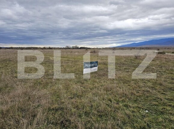 Teren de vânzare Avrig - 150490TV | BLITZ Sibiu | Poza3