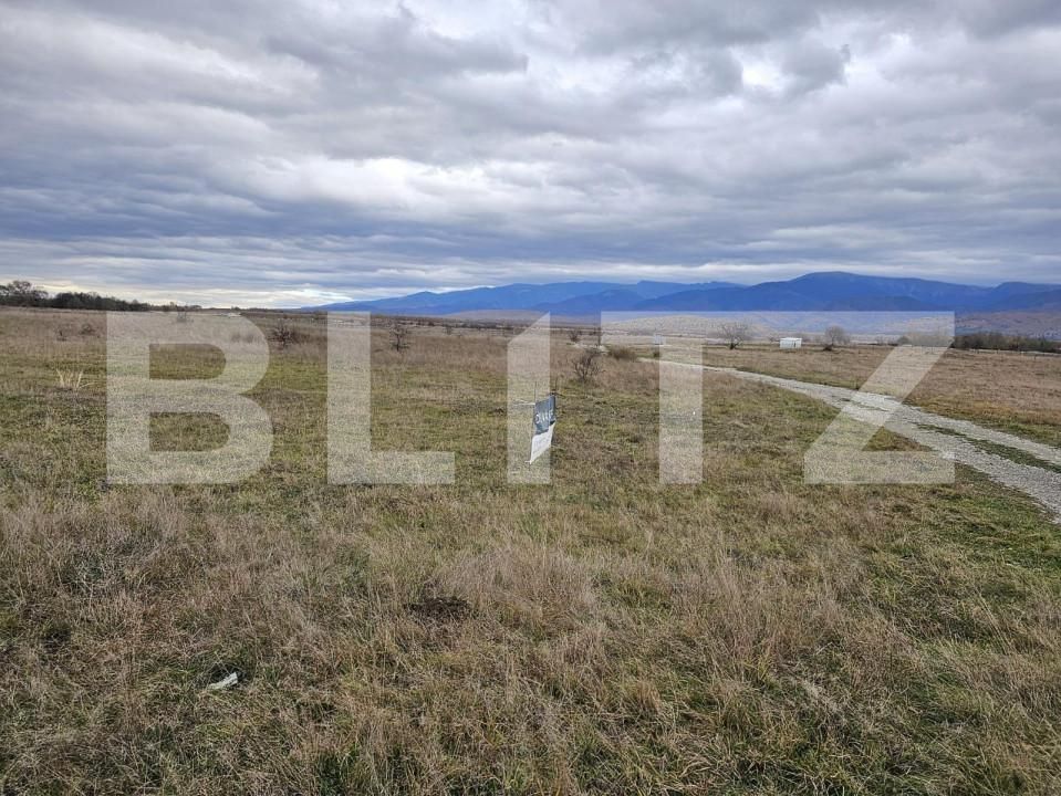 Teren de vânzare Avrig - 150490TV | BLITZ Sibiu | Poza2