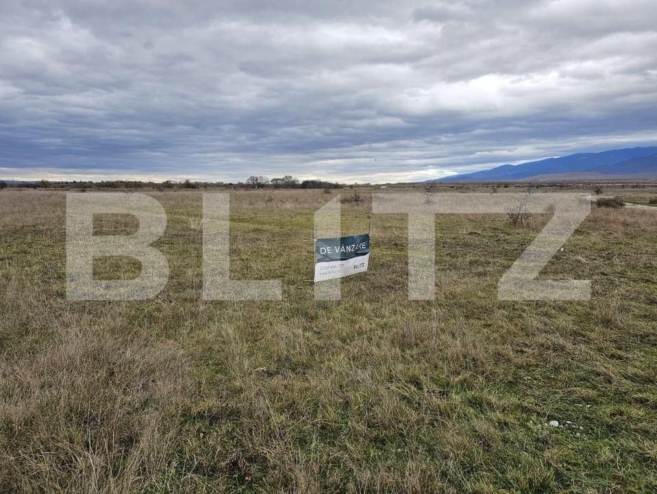 Teren de vânzare Avrig - 150490TV | BLITZ Sibiu | Poza3