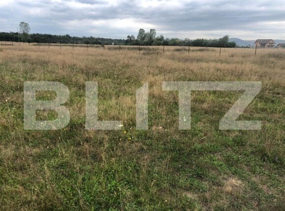 Teren de vânzare Avrig - 150504TV | BLITZ Sibiu | Poza3