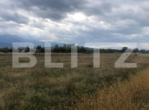 Teren de vânzare Avrig - 150504TV | BLITZ Sibiu | Poza2