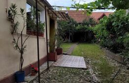 Casa 3 camere Saliste