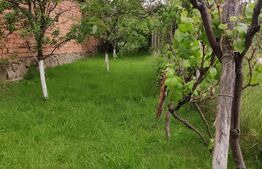 Casa 3 camere Saliste