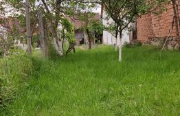 Casa 3 camere Saliste