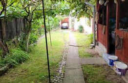 Casa 3 camere Saliste