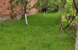 Casa 3 camere Saliste