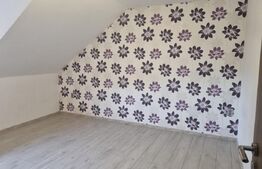 Casa P+M , 2 apartamente, singur in curte, LAZARET