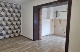 Casa P+M , 2 apartamente, singur in curte, LAZARET