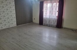 Casa P+M , 2 apartamente, singur in curte, LAZARET