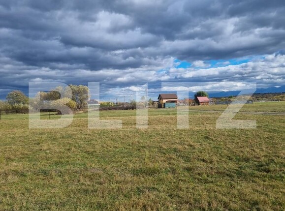 Teren de vânzare Sud - 150989TV | BLITZ Sibiu | Poza10