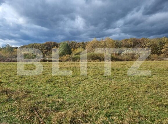 Teren de vânzare Sud - 150989TV | BLITZ Sibiu | Poza7