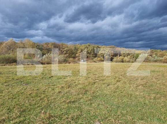 Teren de vânzare Sud - 150989TV | BLITZ Sibiu | Poza4