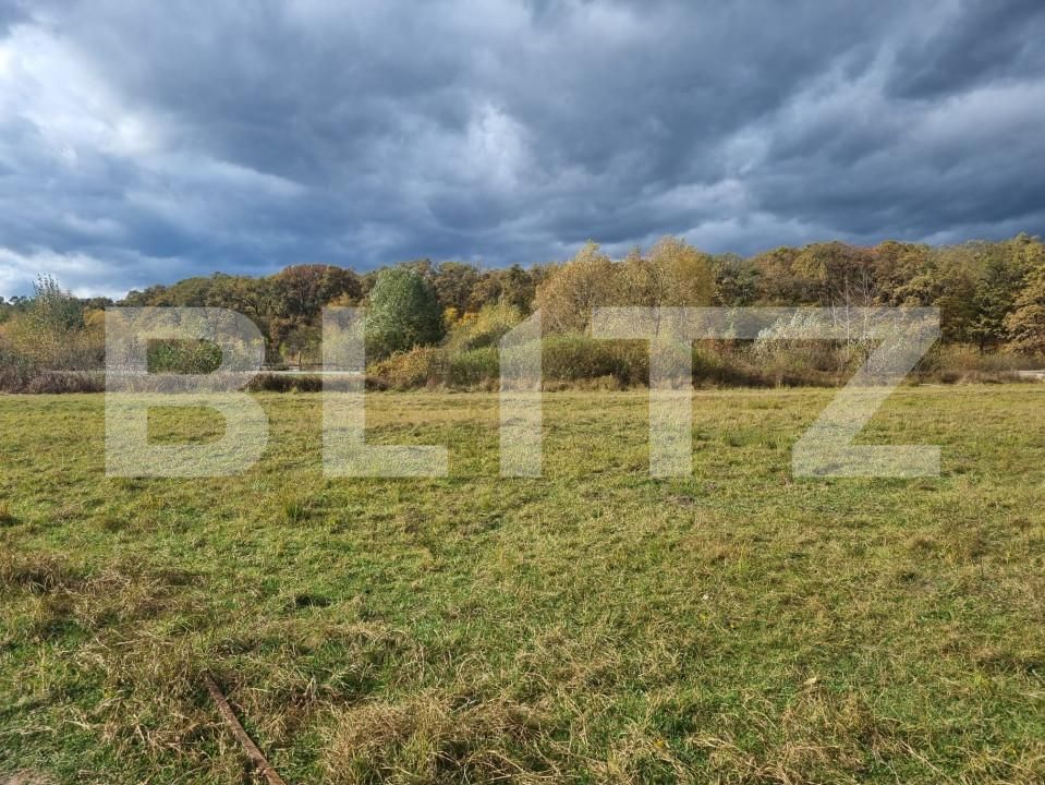 Teren de vânzare Sud - 150989TV | BLITZ Sibiu | Poza7