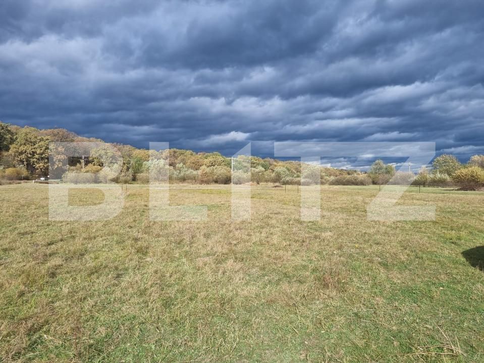 Teren de vânzare Sud - 150989TV | BLITZ Sibiu | Poza2