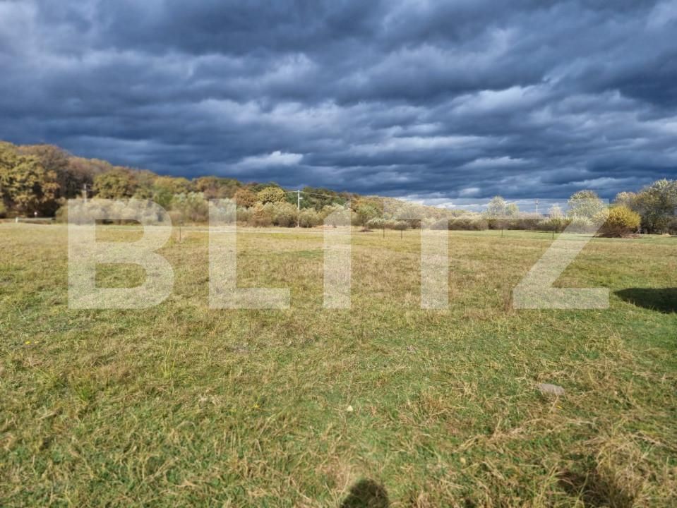 Teren de vânzare Sud - 150989TV | BLITZ Sibiu | Poza5