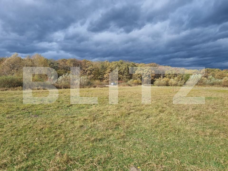 Teren de vânzare Sud - 150989TV | BLITZ Sibiu | Poza4